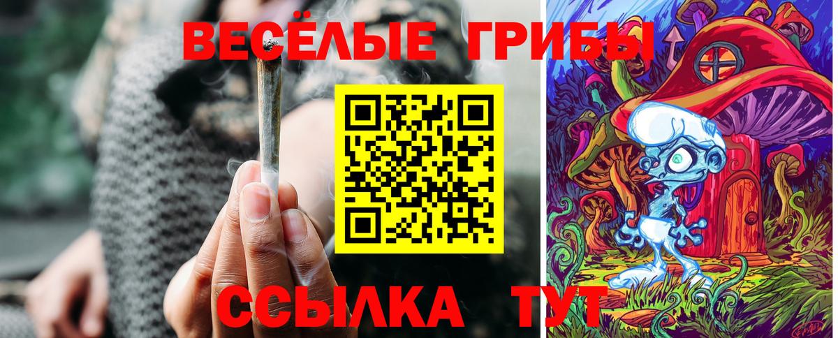 Псилоцибиновые грибы Magic Shrooms Черняховск